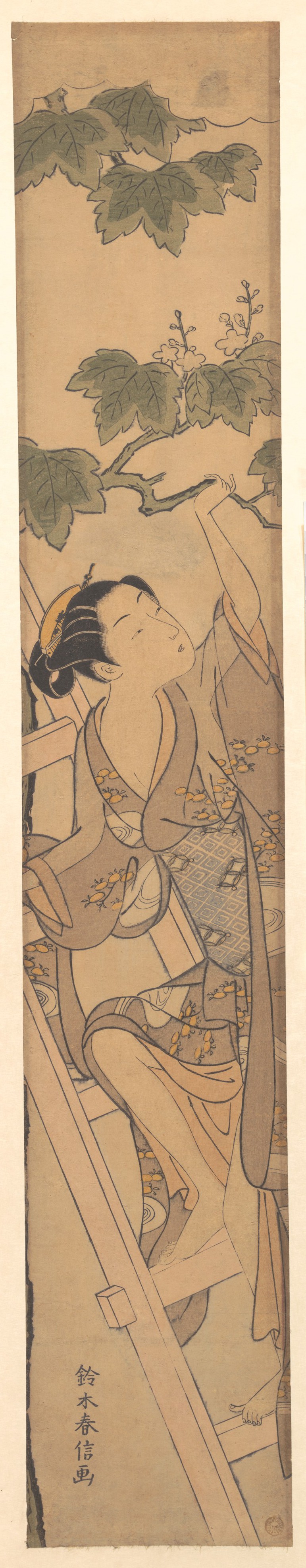爬梯子的年轻女子