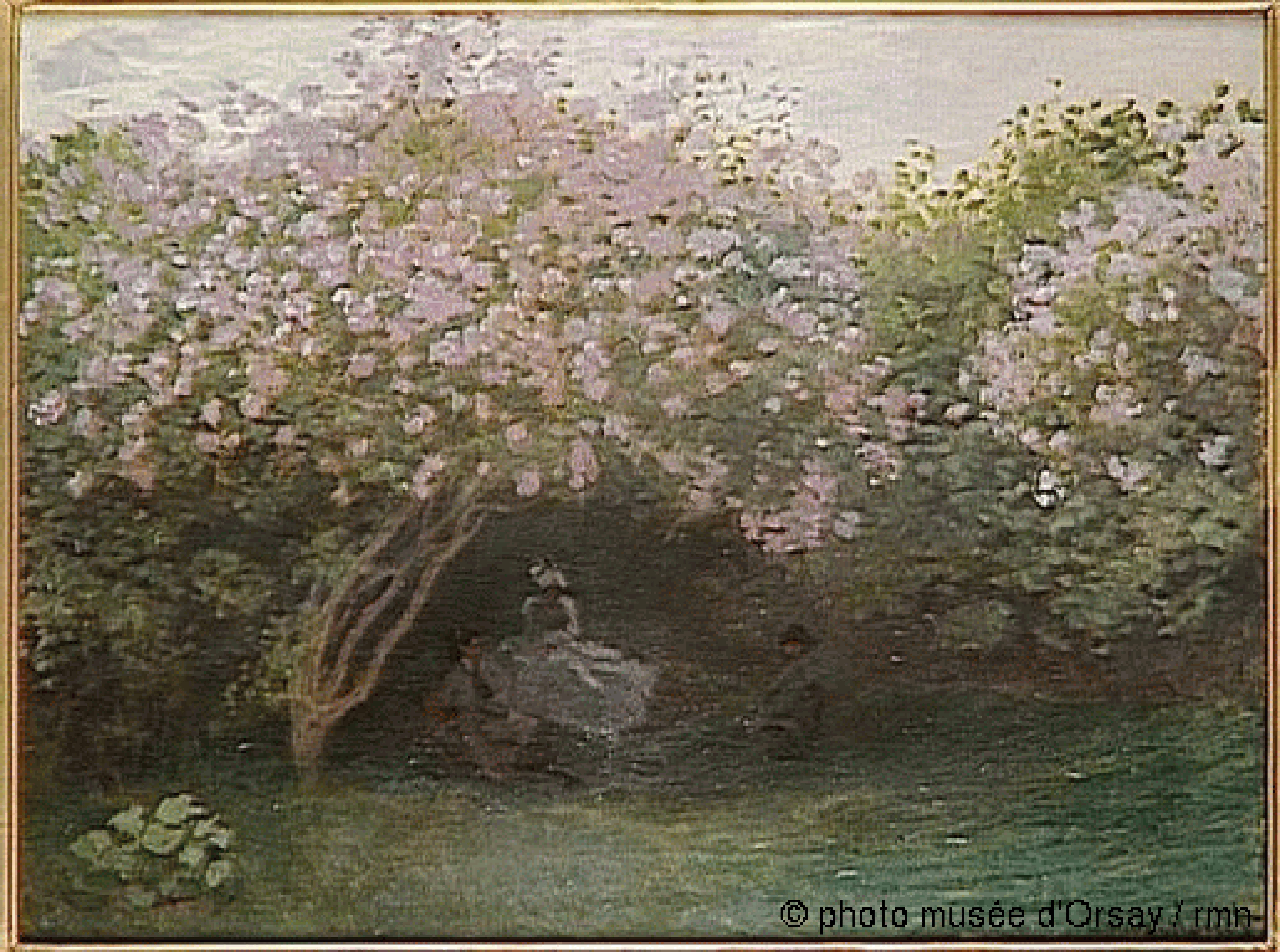 灰天的丁香花