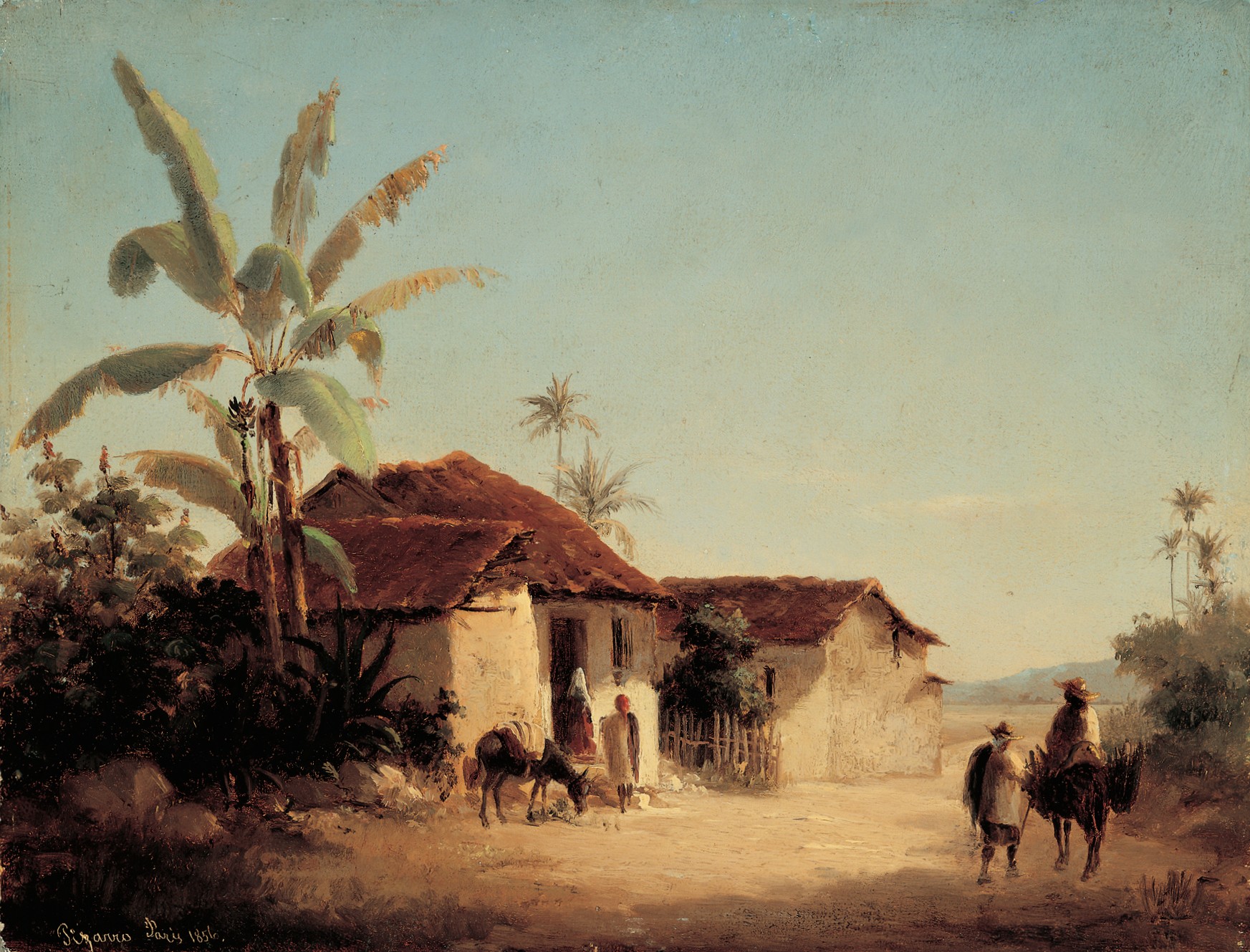 农舍和棕榈树